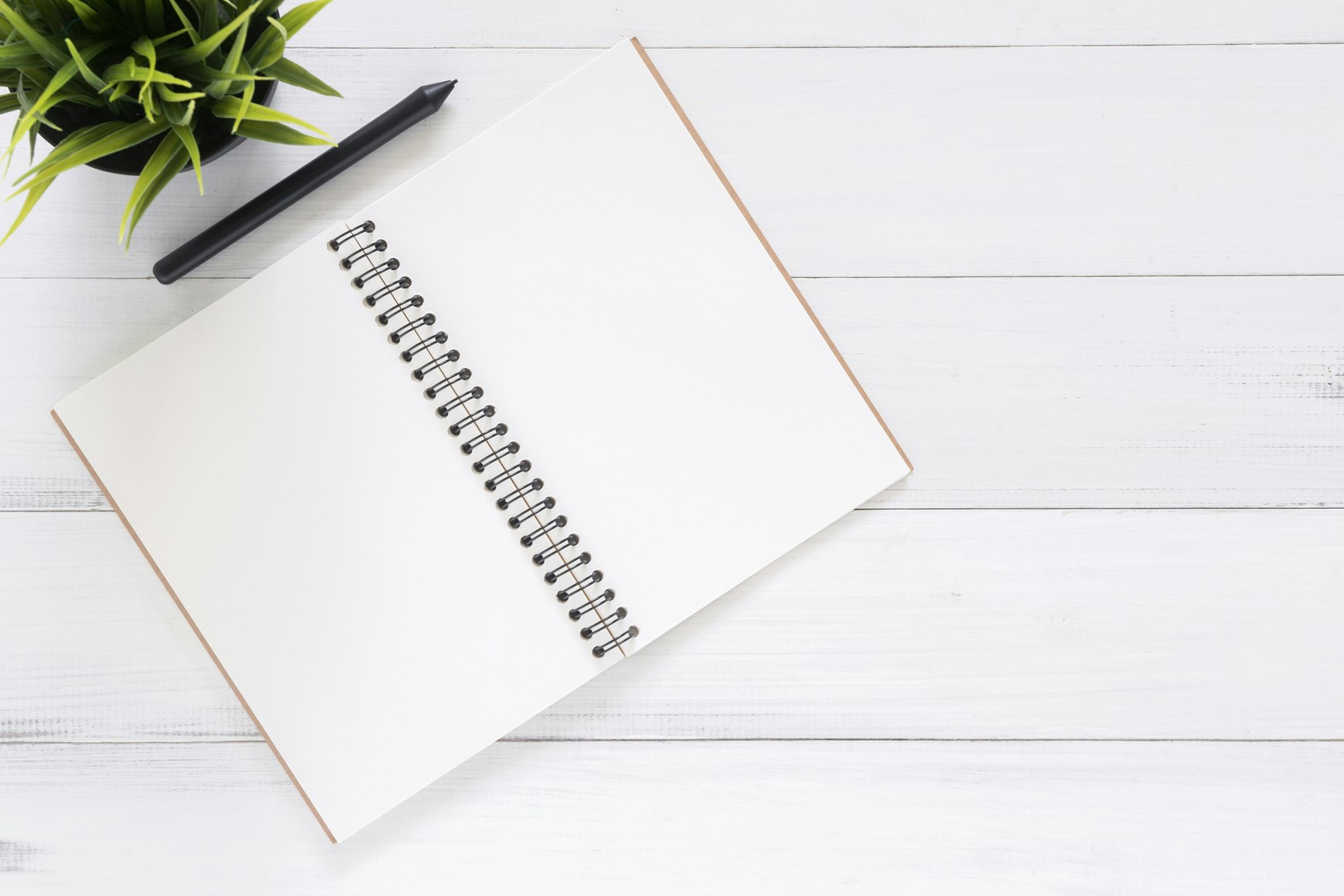 Agenda