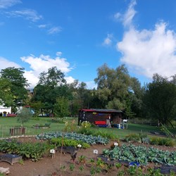 Parco lago di Città 