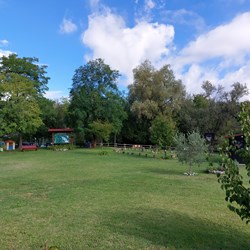 Parco lago di Città 