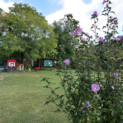 Parco lago di Città 
